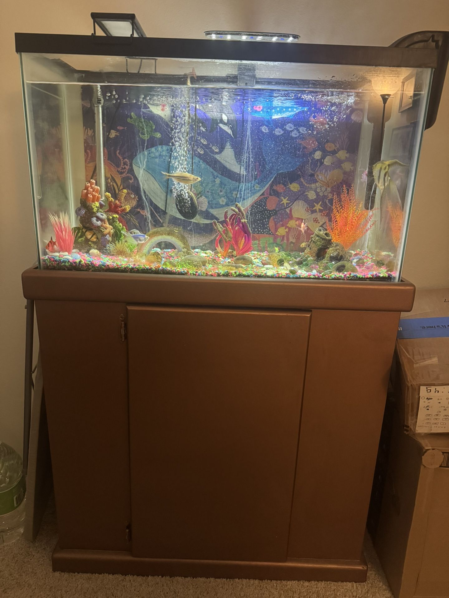 30 Gallons Aquarium With Stand, Filter, 2 Air Pumps , Light , Water Test, Vacuum And  Etc.