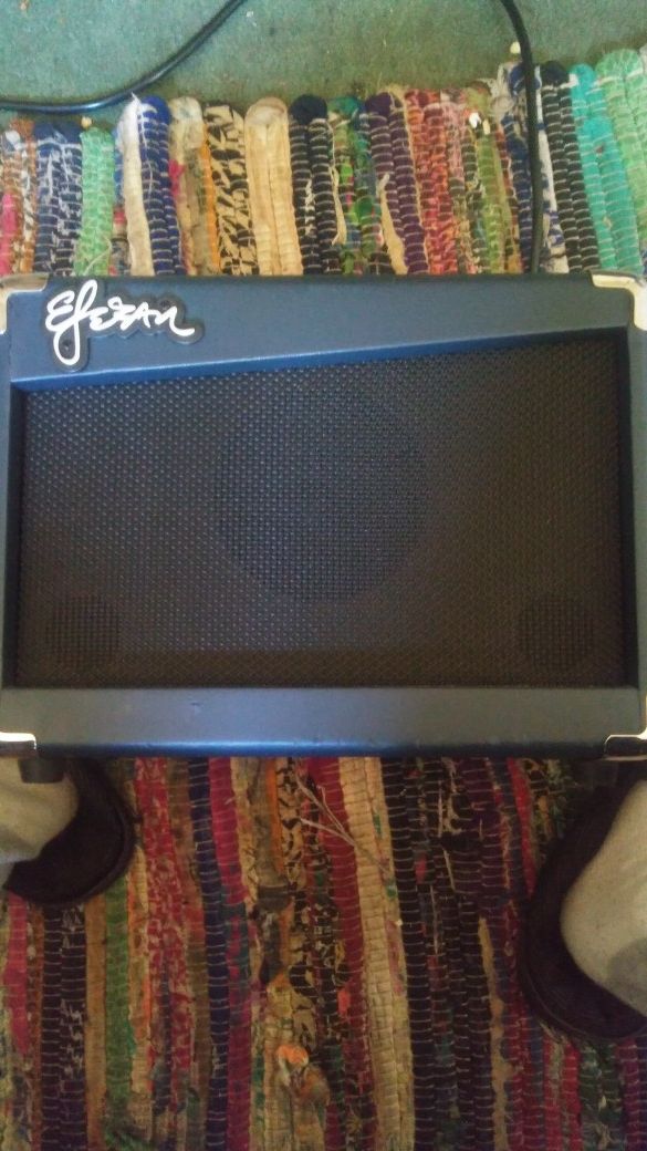 Esteban g 10 guitar amplifier