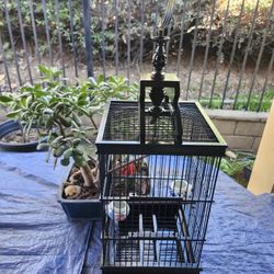 Vintage Bird Cage
