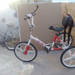 Raleigh Vektor Bike Custom For Special Needs