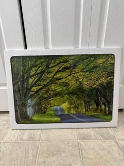 beautiful brand new 20 by 28 inch tempered glass wall art. (MUST SELL TODAY!)