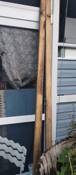 2 pcs wood 2x3x8