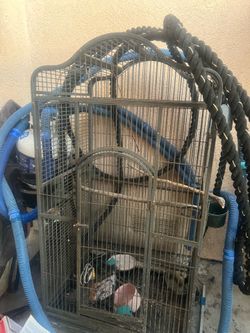 Bird cage