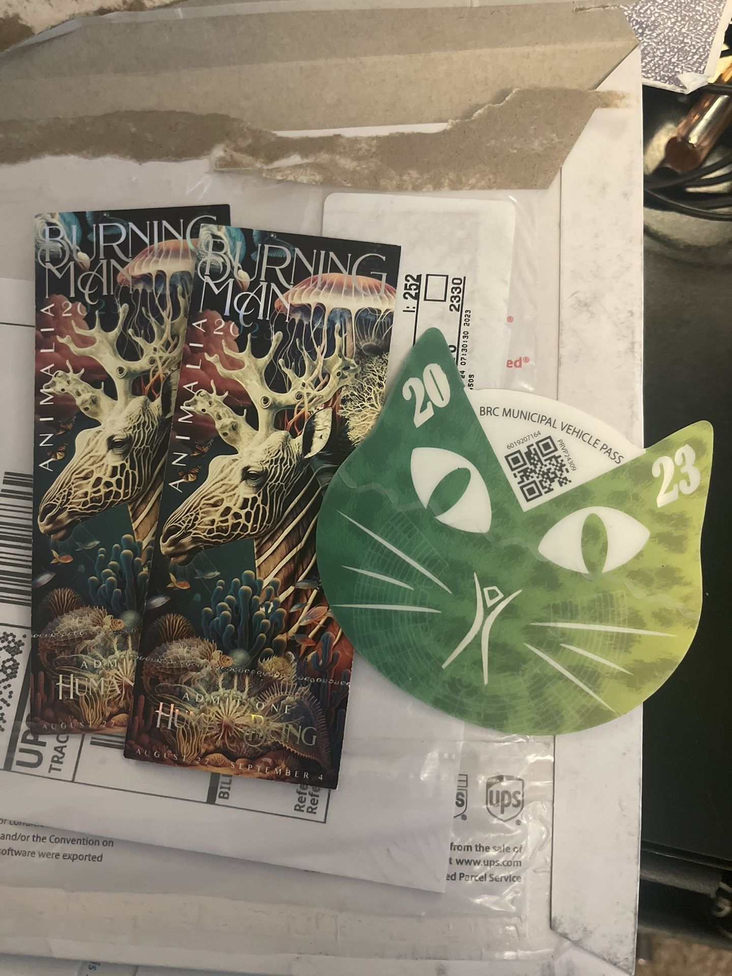 Two Passes/ Tickets and vehicle Pass - Burning Man