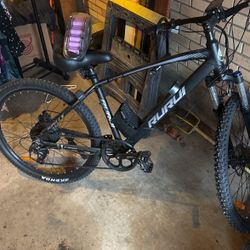 RUI ELECTRIC BIKE 