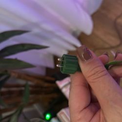 Need Tree With This Adapter Plug
