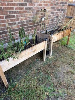 Cedar planter box