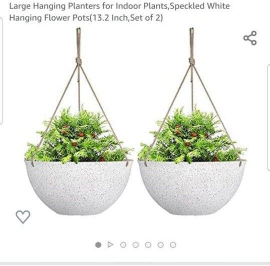 Hanging Flower Pots ( New In Box)