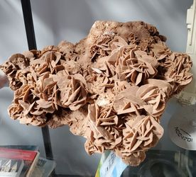 Huge Desert Rose Crystal 17 Inches Long