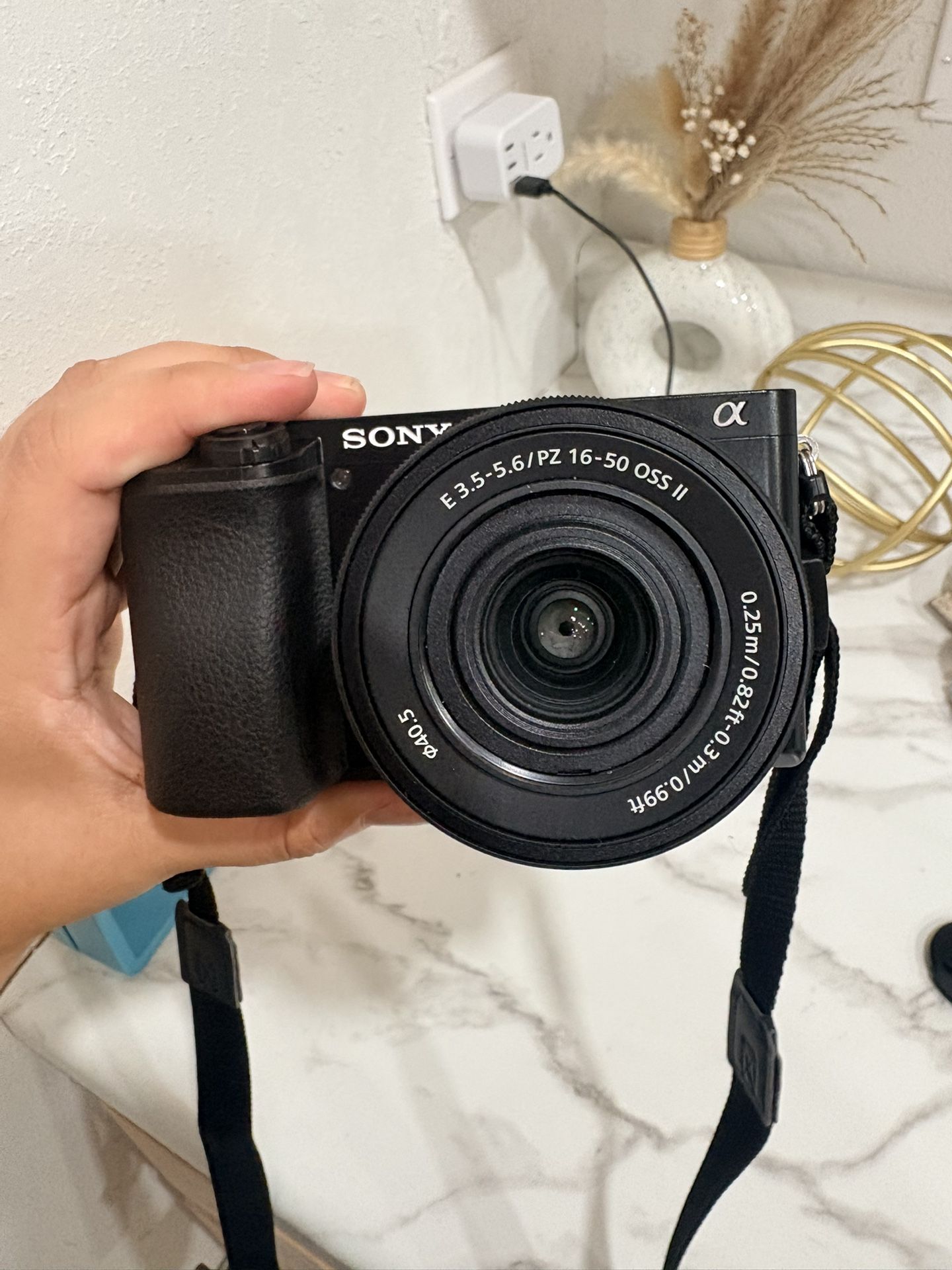 Sony Alpha A6100 Digital Camera (with flash)