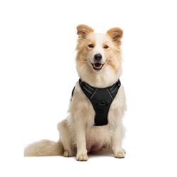rabbitgoo Dog Harness No Pull with 2 Leash Clips, Adjustable Soft Padded, Reflective Oxford No Choke Pet Vest with Easy Control Handle for Medium Size