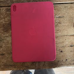 Apple iPad Case Cover