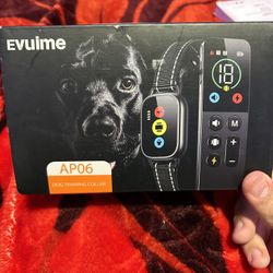 Dog Trainer 