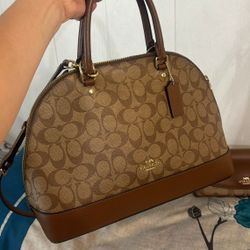Purse with wallet