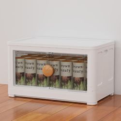 Storage Bin with Lid, Plastic, Foldable Storage Boxes with Doors, for oraganizing, 29 Gal, 1 Pack