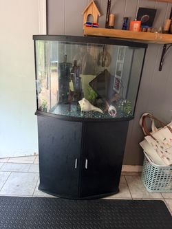Bow Front Aquarium Tank with Black Stand