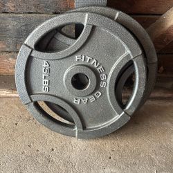 Pair of 45 lb weights 