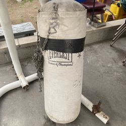 Punching Bag 80lbs 