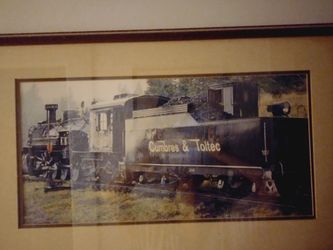 Framed Train Print