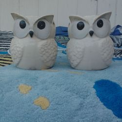 Owl light set
