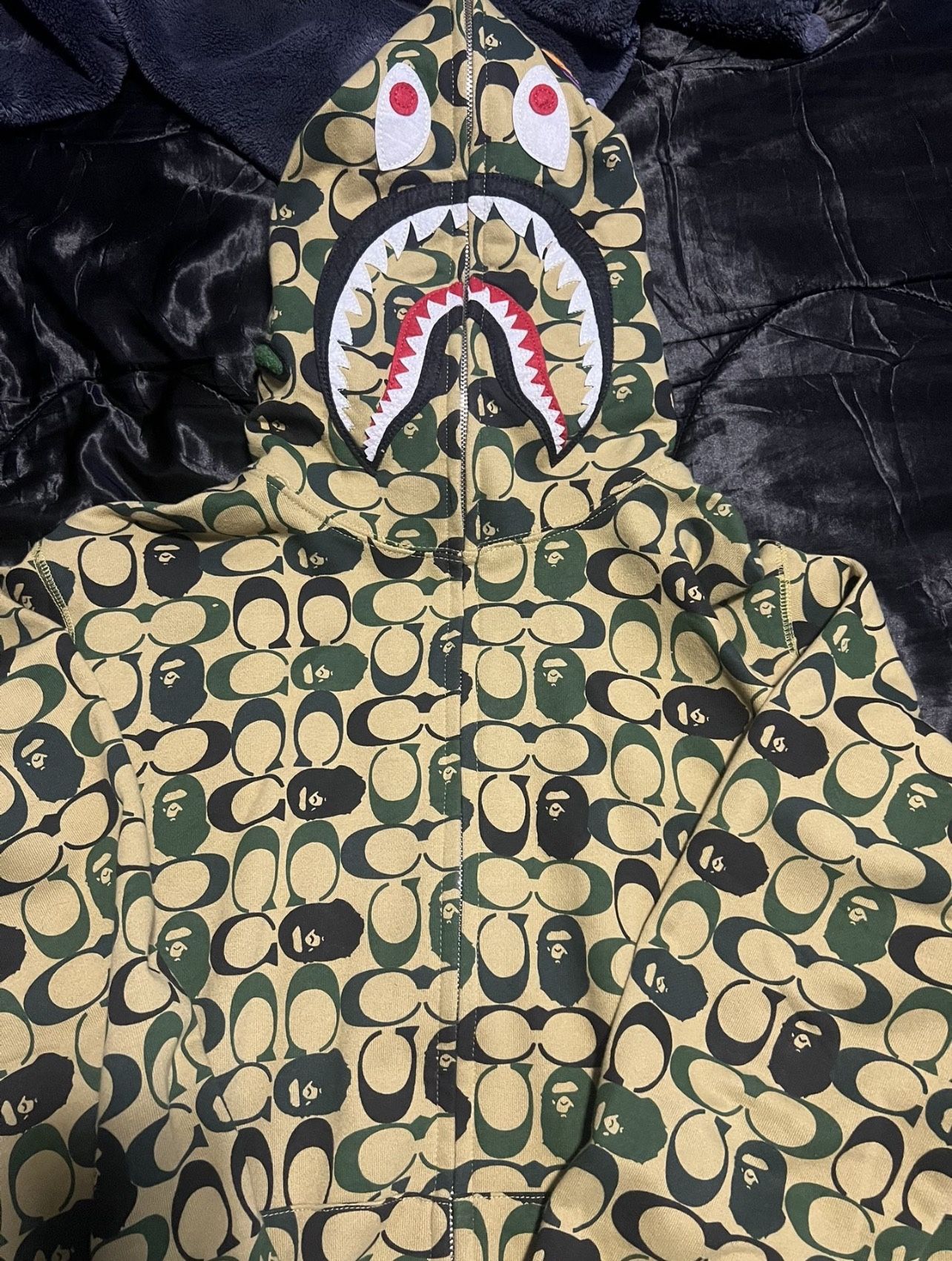 Bape x Coach Hoodie
