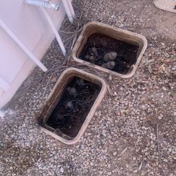 Sprinklers/irrigation 