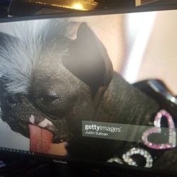 View sonic UhD Monitor 