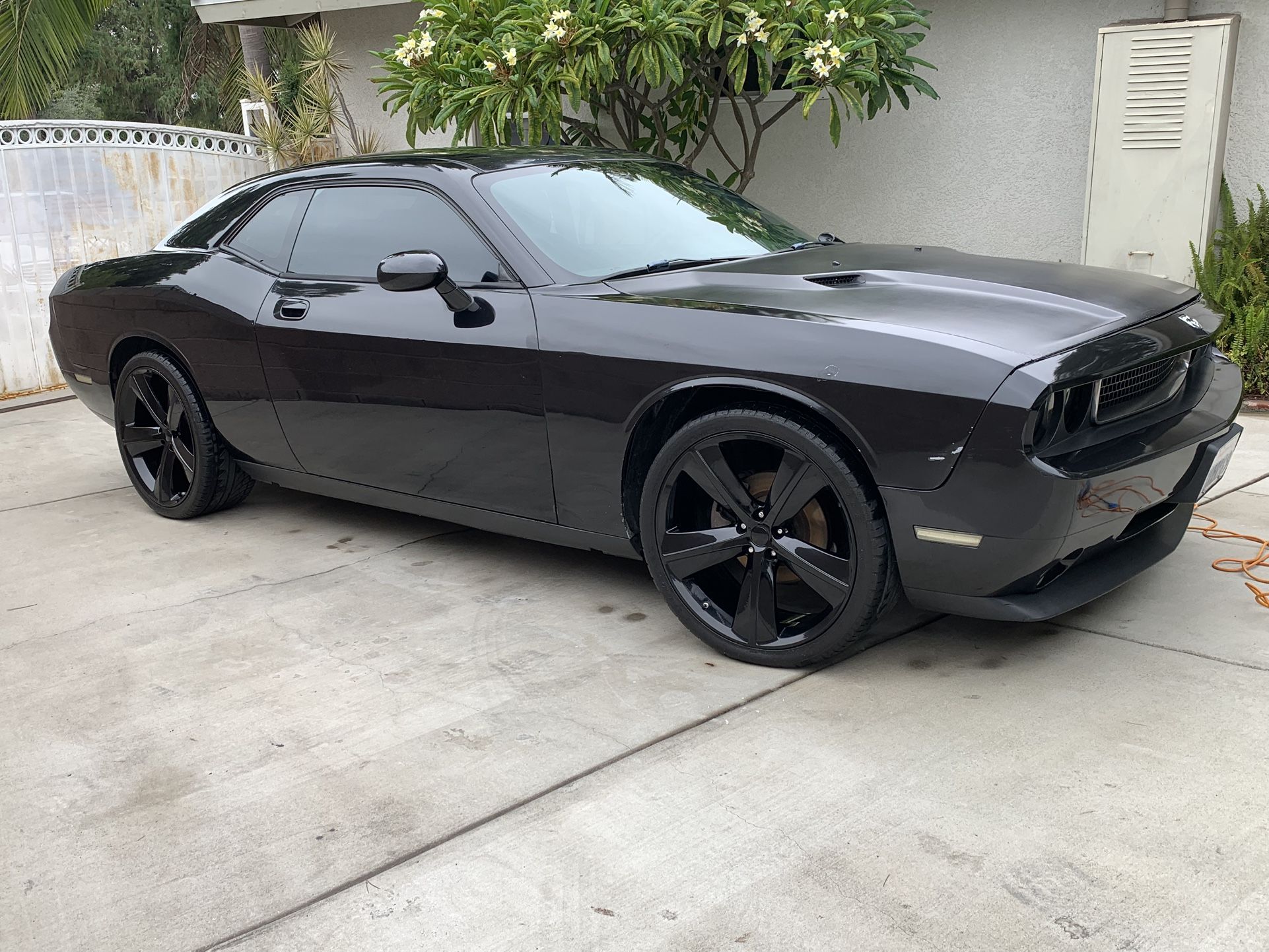 2010 Dodge Challenger