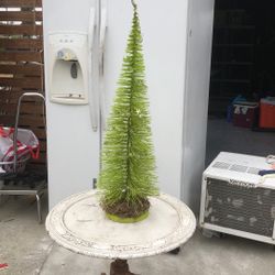 Conroy’s Christmas Tree