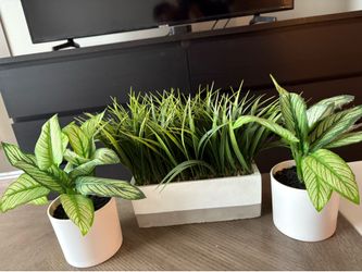 Home decor-faux plants