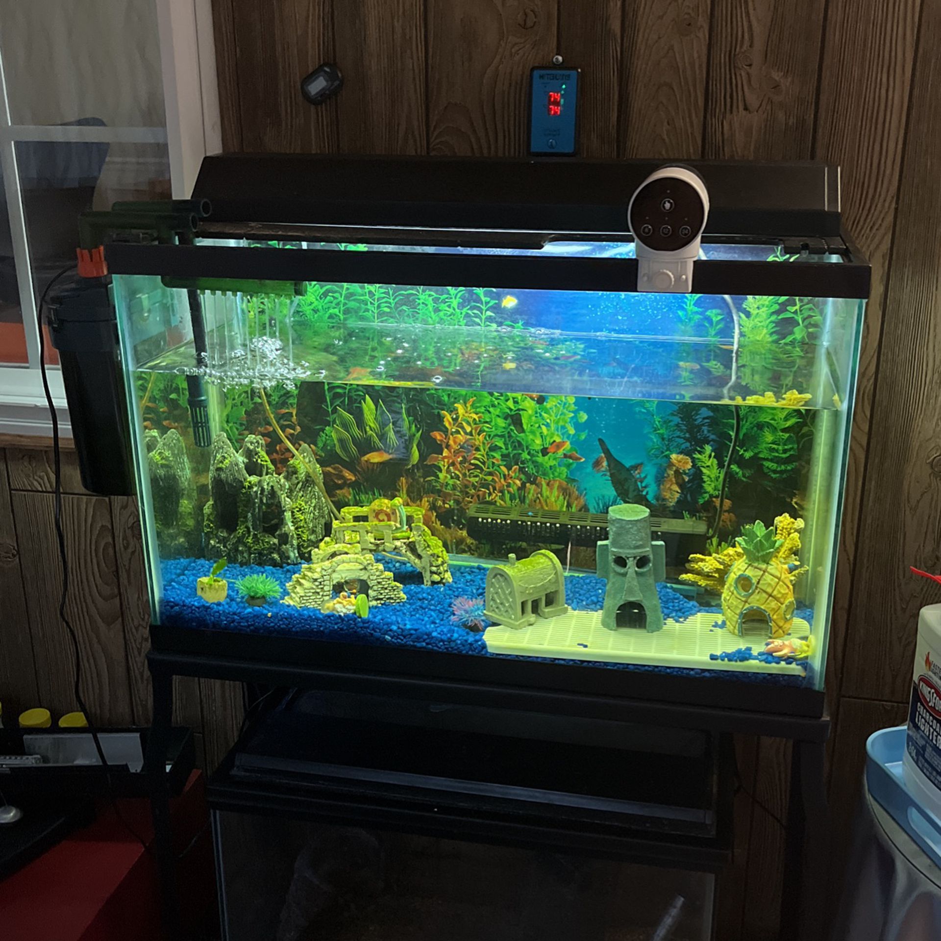 30 Gallon Tank With Stand And Accessories 