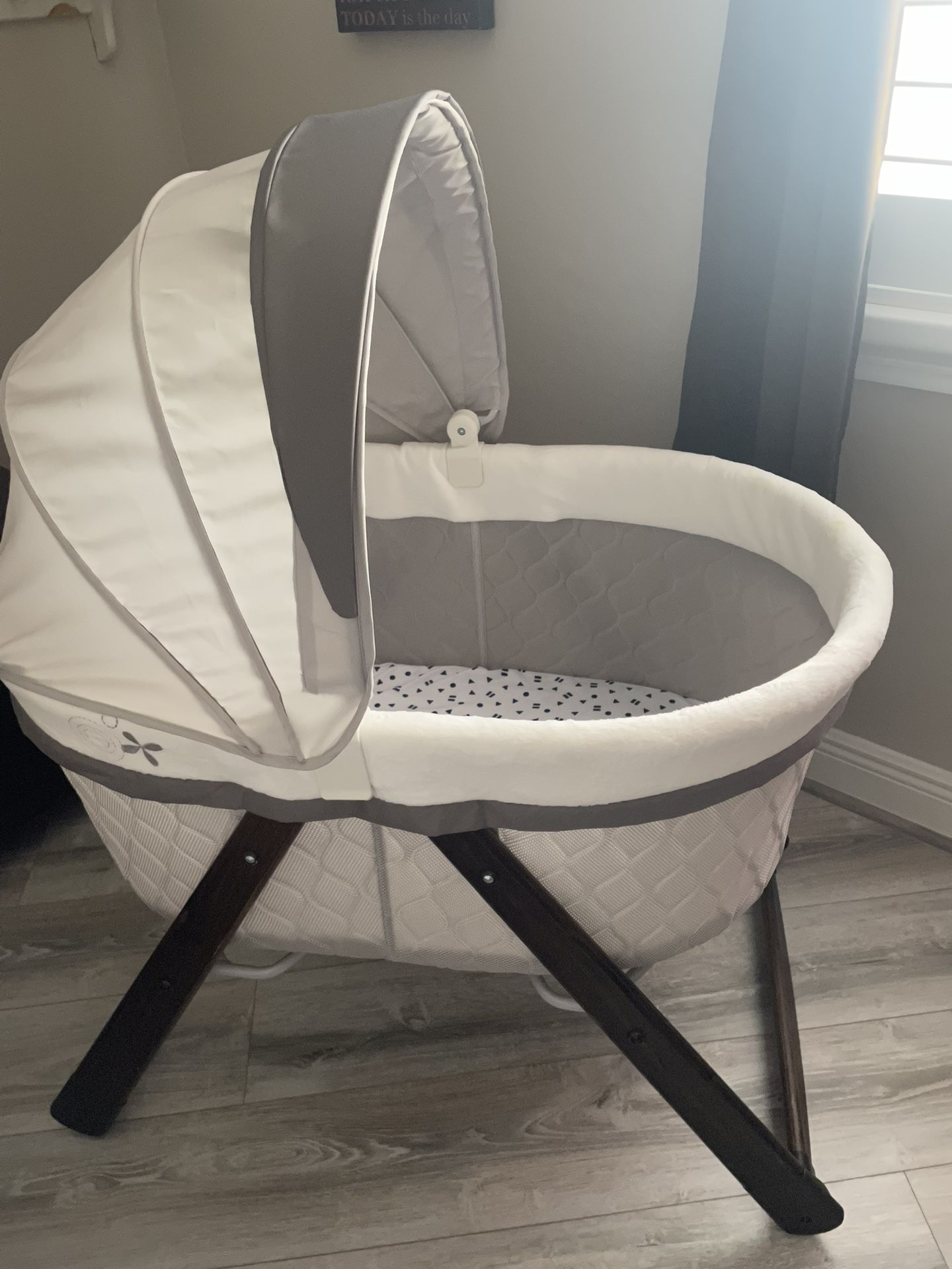 ingenuity fold away, rocking cradle swing Carrington
