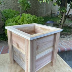 Small Wooden Box Planters 
