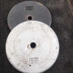 2-25lbs Standard 1inch Weights Plates