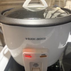 Rice cooker