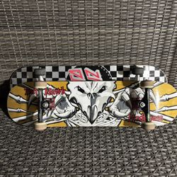 Skate Boards