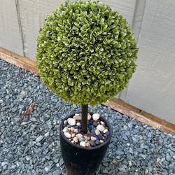 Artificial Faux Boxwood Ball Topiary Tree In Ceramic Pot Home Decor