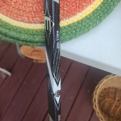 Easton S19 Hall 100 One Piece Left Stick