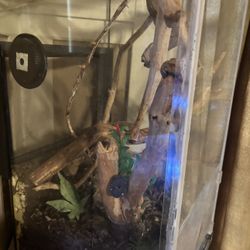 Reptile/frog Terrarium