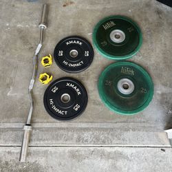 30lb Curl Bar 