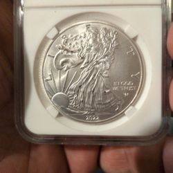 (2022 w)  1oz Silver Eagle 