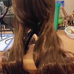 Free Wig heads with Purchase of 2 NEW WIGS $45.00