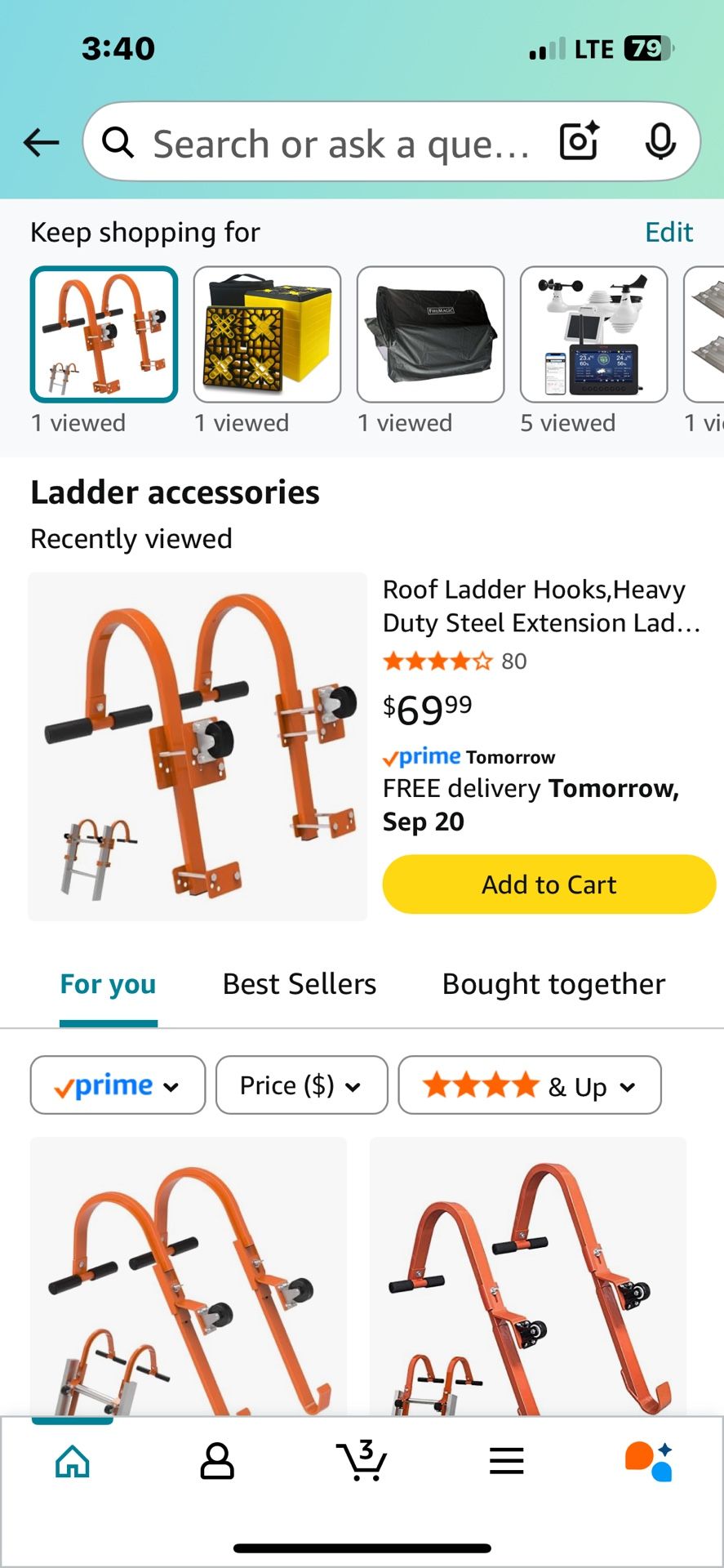 Roof Ladder Hooks