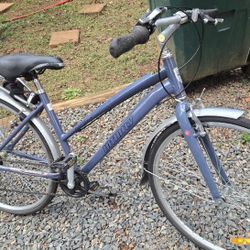 Infinity Boss Three Bicycle 