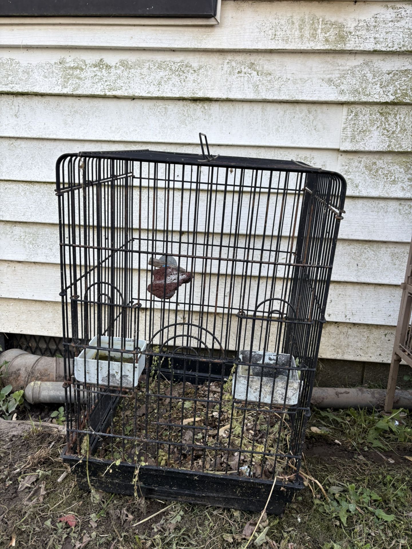 Large Bird Cages Make An offer