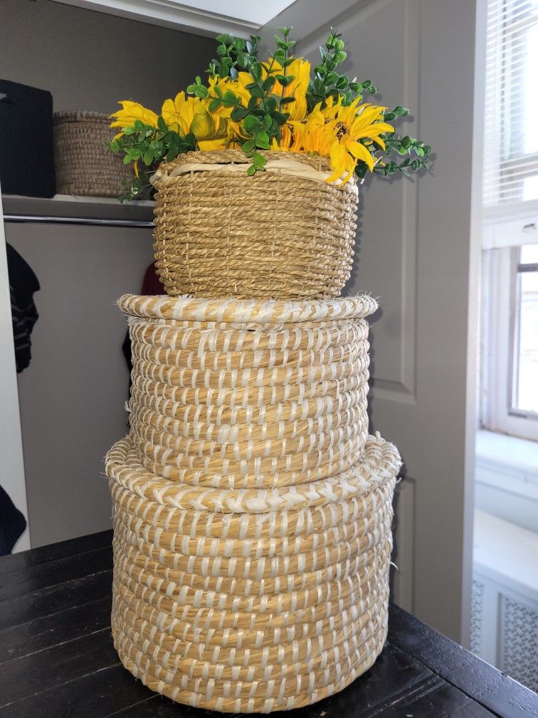 Storage Baskets and Dercorative plant