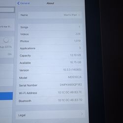 iPad 