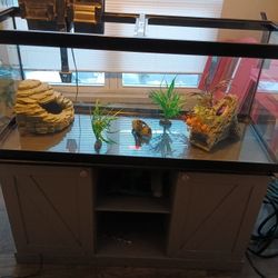 50 Gallon Fish Tank