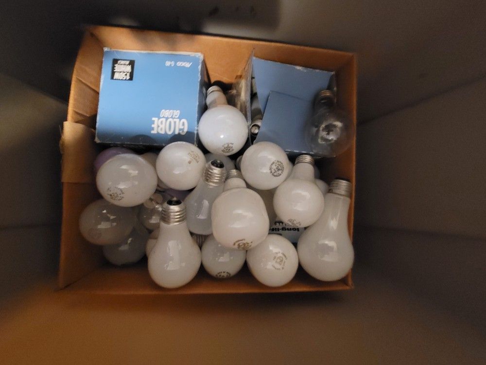 Light Bulbs