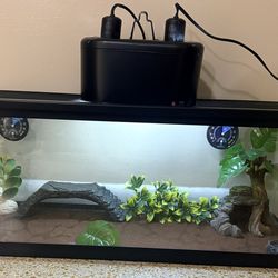 20 Gallon Long Reptile Tank Setup